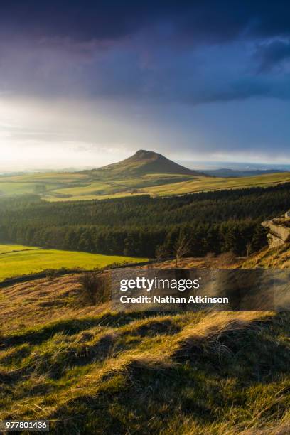 roseberry topping - roseberry topping stock pictures, royalty-free photos & images