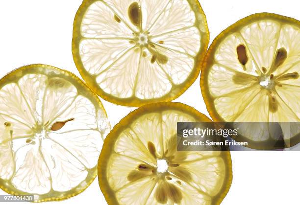 Circular Lemon Circular Lemon Slice Photos and Premium High Res Pictures - Getty Images