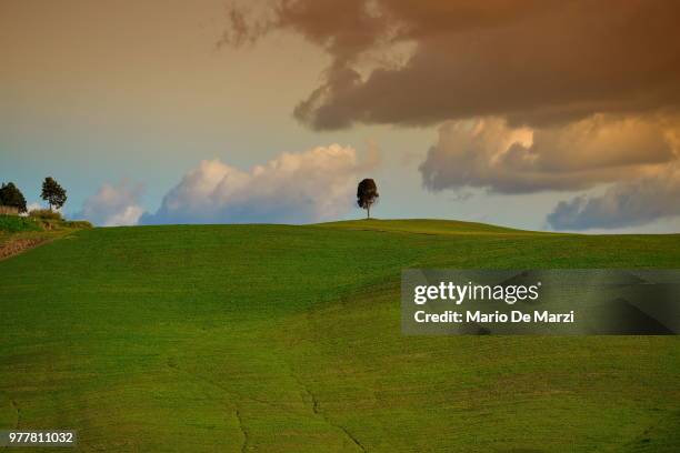 la collina del ciliegio - collina stock pictures, royalty-free photos & images