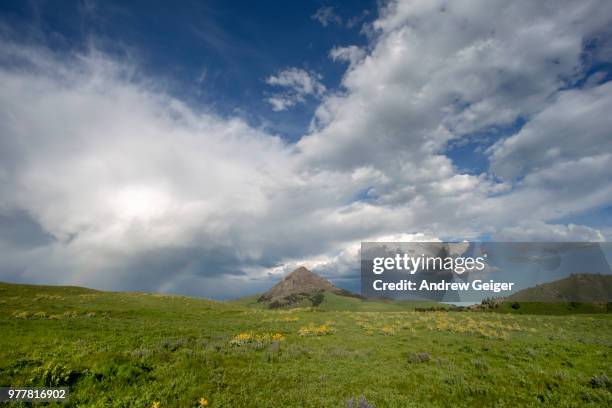 Beautiful Prairie 672 Lonesome Prairie Stock Photos, High-Res Pictures, and Images ...