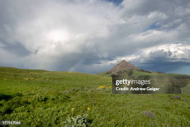 Beautiful Prairie 684 Lonesome Prairie Stock Photos, High-Res Pictures, and Images ...