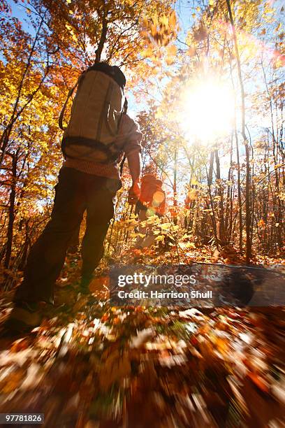 a blur motion image of hiker in an autumn forest in north carolina. - pisgah national forest stock pictures, royalty-free photos & images