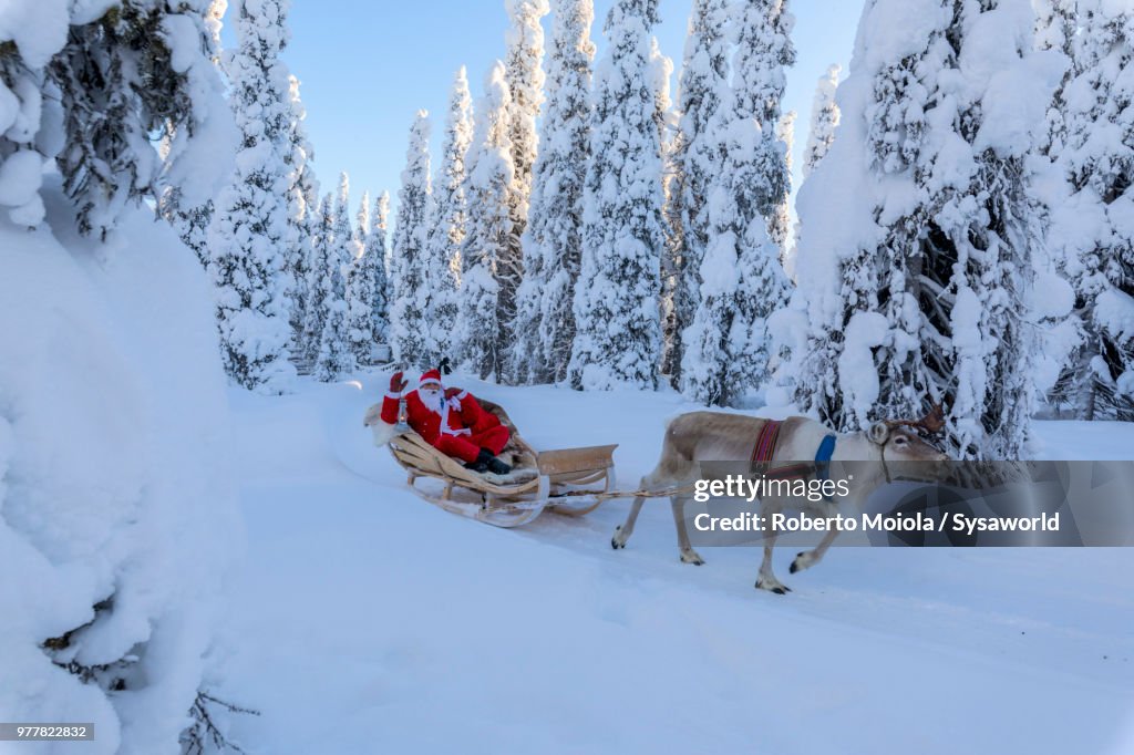 Santa Claus on reindeer sleigh in the snowy forest, Ruka (Kuusamo), Northern Ostrobothnia region, Lapland, Finland