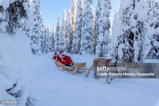 santa claus on reindeer sleigh in the snowy forest, ruka (kuusamo), northern ostrobothnia region, lapland, finland - 橇 ストックフォトと画像