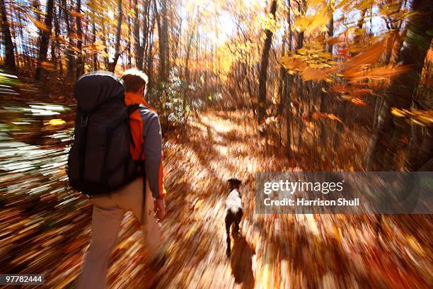 a blur motion image of hiker in an autumn forest in north carolina. - pisgah national forest stock pictures, royalty-free photos & images