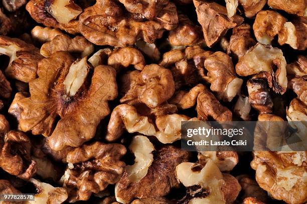 Shelled Walmut 114 Walnuts Shelled Stock Photos, High-Res Pictures, and Images - Getty ...