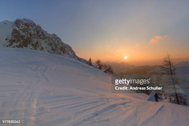 winther and sunrise - schnuller stock pictures, royalty-free photos & images