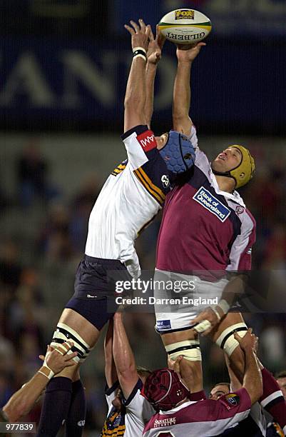 Justin Harrison of the Brumbies flies high in the line out against Mark Connors of Queensland during the Super 12 Rugby Union match between the...