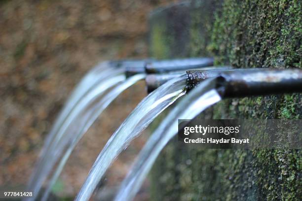 Fountain Wish Photos and Premium High Res Pictures - Getty Images