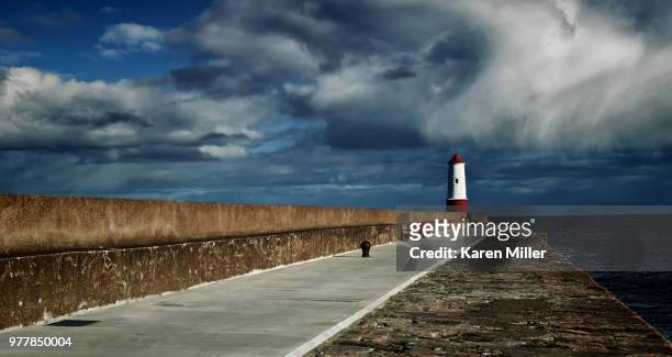 berwick lighthouse - karen miller stock pictures, royalty-free photos & images