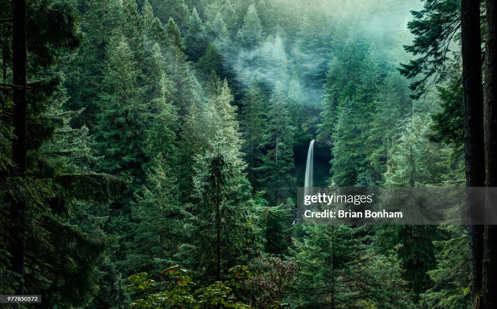 North Falls in Silver Falls State Park, Oregon, USA