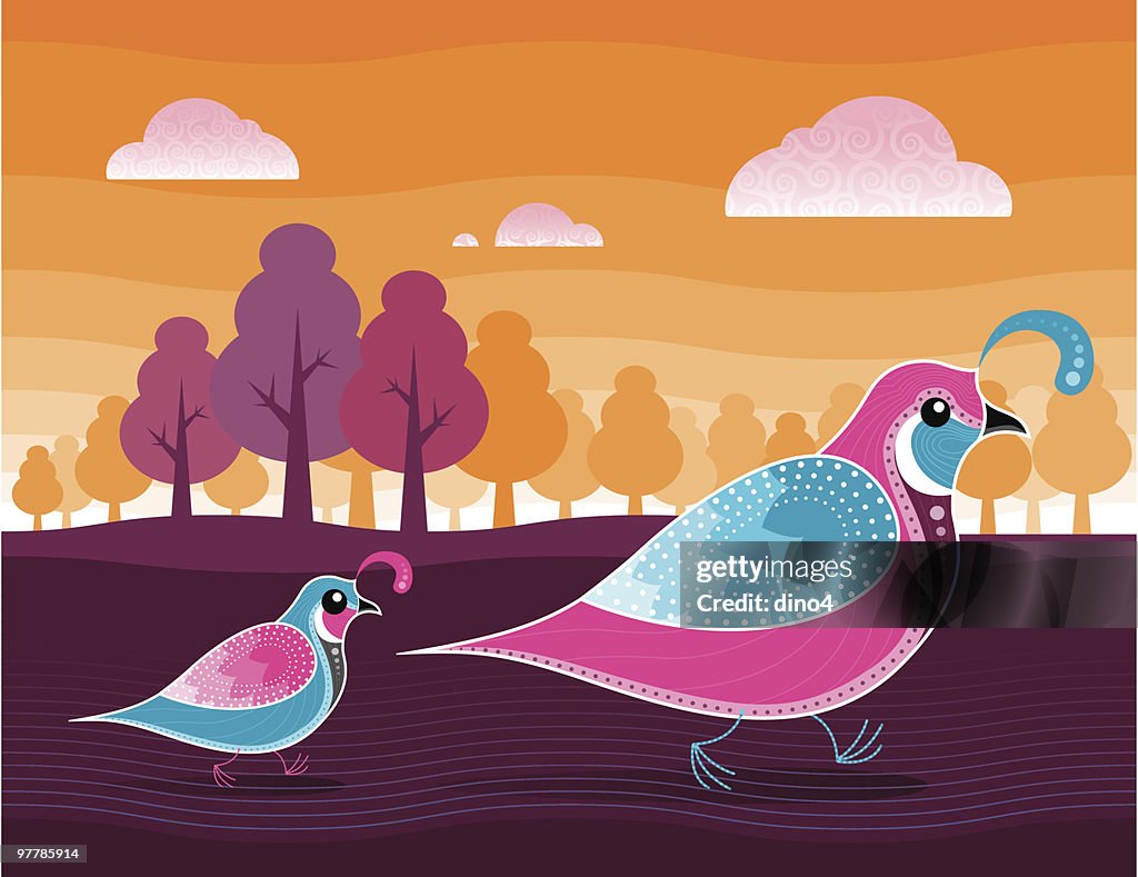 Quail Trail