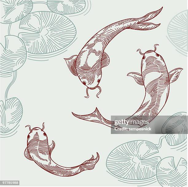 koi fish in pond - pond stock illustrations