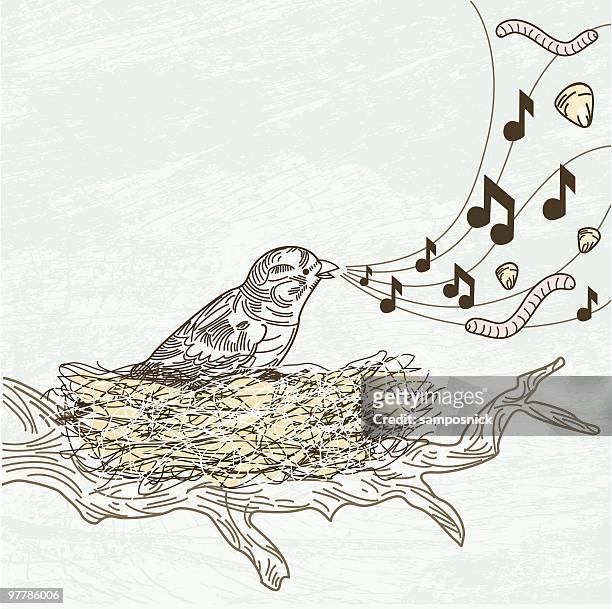 ilustraciones, imágenes clip art, dibujos animados e iconos de stock de ¿qué sing sobre aves. - bird singing