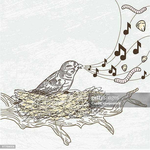 what birds sing about... - birdsong stock illustrations