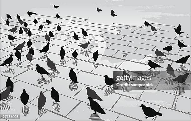 tauben in the square - large group of animals stock-grafiken, -clipart, -cartoons und -symbole