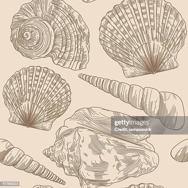 stockillustraties, clipart, cartoons en iconen met beachy seashell pattern - conch shell vector
