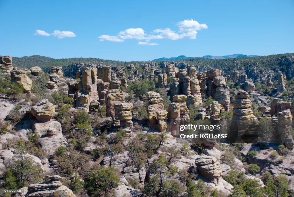 Chiricahua