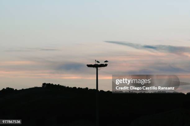 silueta - silueta stockfoto's en -beelden