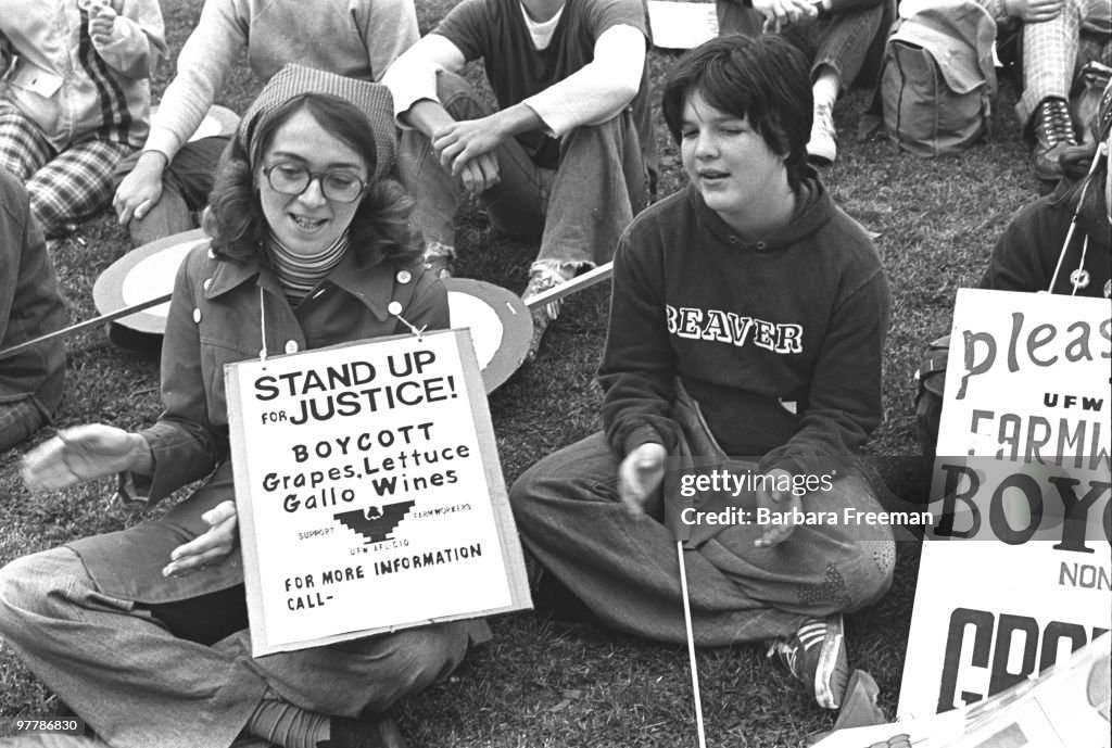 United Farm Workers Grape Boycott