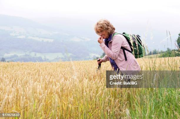 senior vrouw wandelen op de berg - bakibg stockfoto's en -beelden