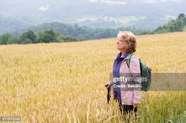 senior vrouw wandelen op de berg - bakibg stockfoto's en -beelden