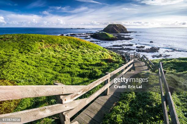 boardwalk in point grant, phillip island, victoria, australia - phillip island stockfoto's en -beelden