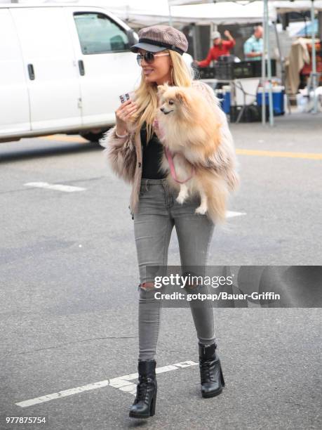 Holly Meowy is seen on June 17, 2018 in Los Angeles, California.