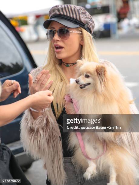 Holly Meowy is seen on June 17, 2018 in Los Angeles, California.