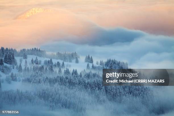 chaud/froid - froid bildbanksfoton och bilder