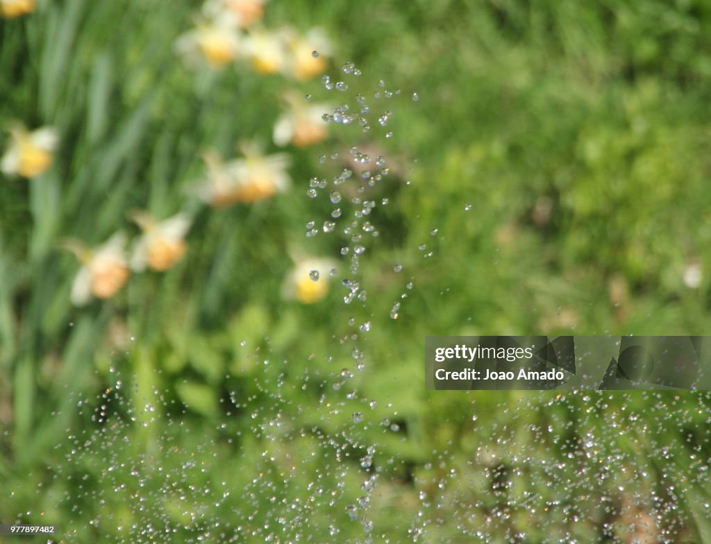 Drops defying gravity...