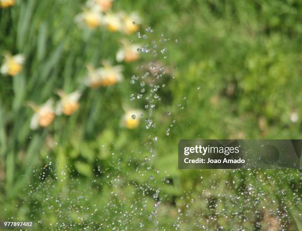 drops defying gravity... - defying gravity stock pictures, royalty-free photos & images