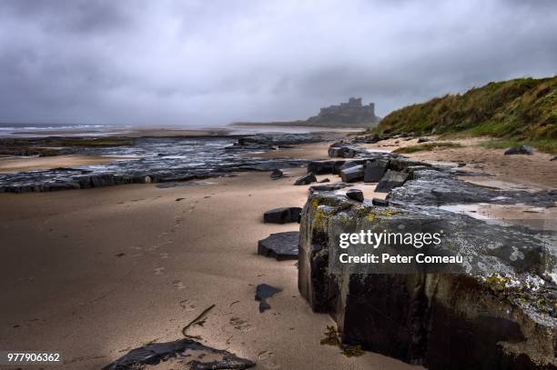 seaside near bamburgh castle, england, uk - bamburgh stock pictures, royalty-free photos & images