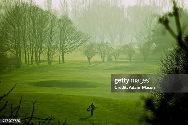 lonely golfer - adam ray stock pictures, royalty-free photos & images