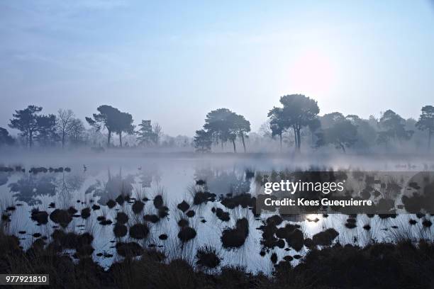 ochtend /3 - ochtend fotografías e imágenes de stock