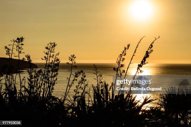 Sunset Raglan 263 Raglan Beach New Zealand Stock Photos, High-Res Pictures, and ...