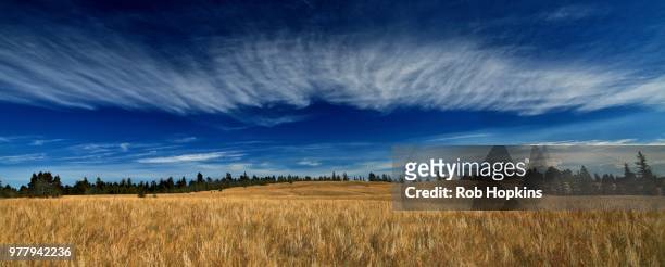 cariboo skies - cariboo stock pictures, royalty-free photos & images