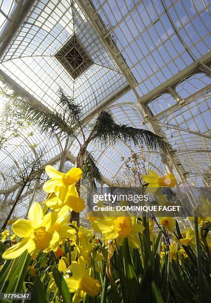 View of the art work titled "The season feast" by French contemporary artist Pierre Huyghe exposed at the Cristal Palace in Madrid on March 17, 2010....