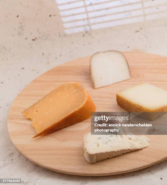 gorgonzola, gouda cheese, tomme de chèvre and pecorino romano. - chèvre stock pictures, royalty-free photos & images