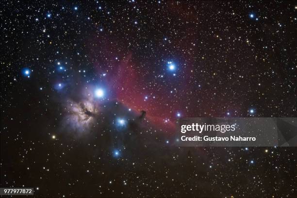horsehead nebula - nebulosa cabeza de caballo fotografías e imágenes de stock