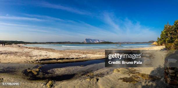 spiaggia lu impostu puntaldia, san teodoro. sardegna - sardinia - spiaggia stock pictures, royalty-free photos & images