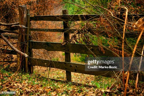 spring - rail fence stock pictures, royalty-free photos & images