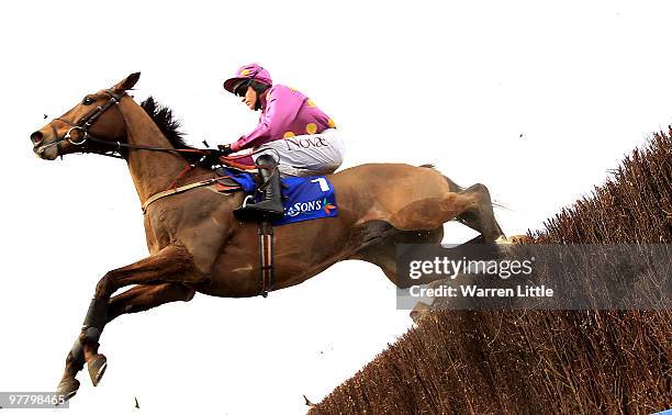 Big Zeb jumps the last fence ridden by Barry Geraghty en-route to winning The Seasons Holidays Queen Mother Championship Steeple Chase on Day Two of...