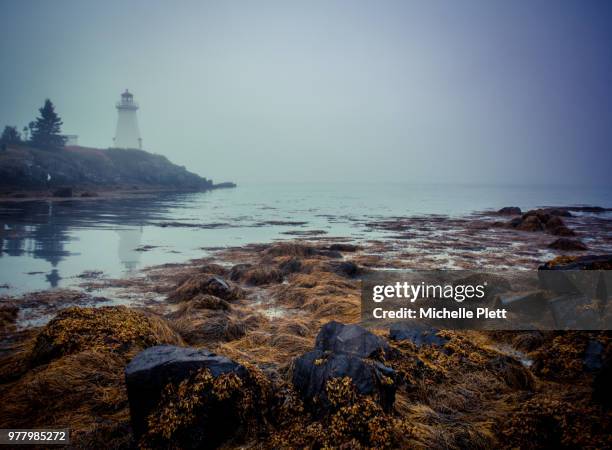 foggy seascape with lighthouse, new brunswick, eastern canada, canada - brunswick centre stock pictures, royalty-free photos & images