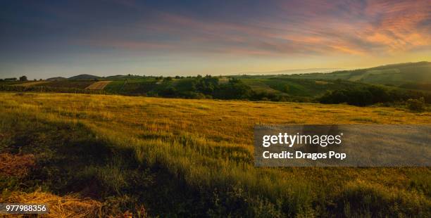 beautiful serbia - war zone stock pictures, royalty-free photos & images