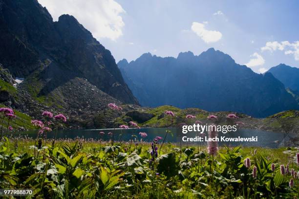 tranquility - lech valley bildbanksfoton och bilder