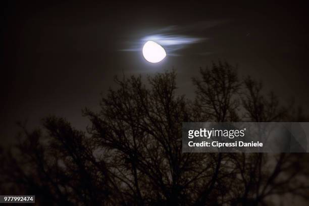 all'ombra della luna - ombra stock pictures, royalty-free photos & images