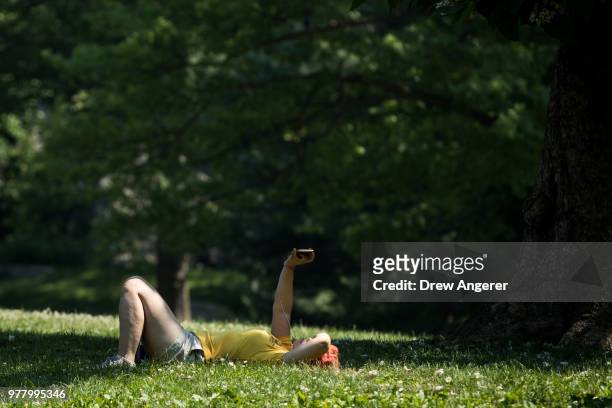 Woman sits in a sliver of shade in Central Park, June 18, 2018 in New York City. Temperatures are forecasted to hit the low 90s on Monday in New York...