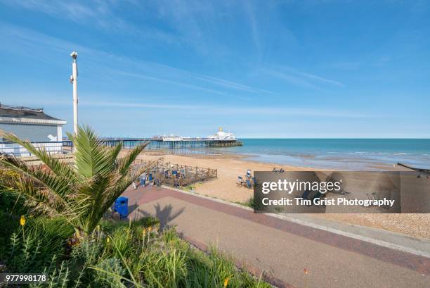 eastbourne promenade, beach and eastbourne pier - eastbourne fotografías e imágenes de stock