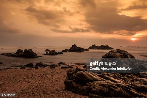 bird rock sunset - alexander ipfelkofer stock pictures, royalty-free photos & images